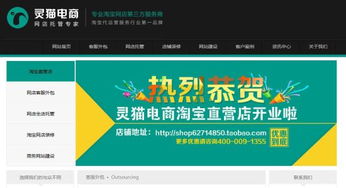 灵猫电商网站建设 助企业进入电商一臂之力